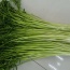 Rau cần ta (cần nước) thơm ngon tự nhiên